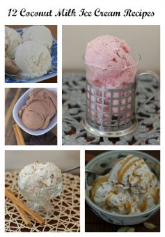 12 amazing coconut milk based ice cream recipes that are dairy-free and paleo friendly