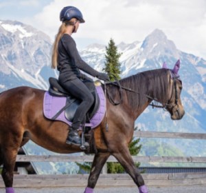 Improved stirrup quality and reliability: everything for a safe ride