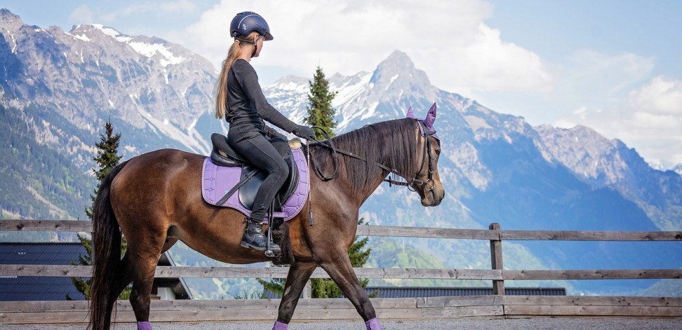 Improved stirrup quality and reliability: everything for a safe ride