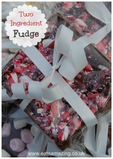 2 Ingredient 5 minute quick and easy fudge recipe - 1 recipe - endless flavour combinations