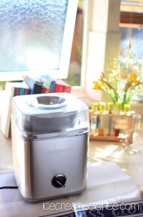 Cuisinart ICE30 Ice Cream Maker 1