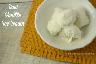 easy homemade ice cream recipe