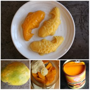 Fresh mango pudding collage