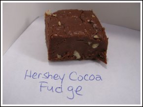 fudge with cocoa