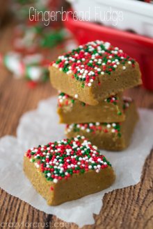 Gingerbread Fudge (4 of 5)w