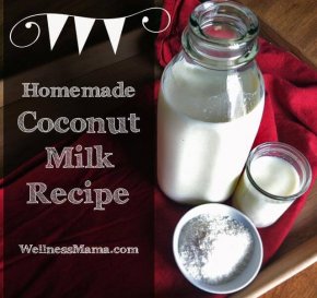 Homemade Coconut Milk Recipe from Wellness Mama Simple and cheap