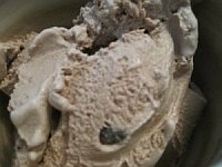 Homemade goat milk ice cream