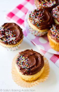 Homemade Yellow Cupcakes Recipe on sallysbakingaddiction.com