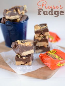 reeses-fudge05-1w