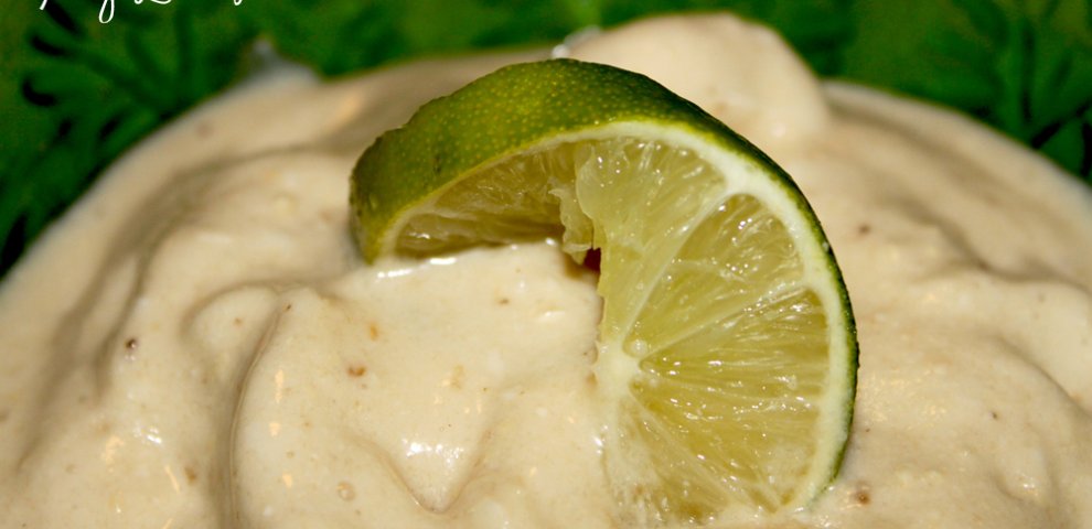 Best coconut milk ice cream Recipes