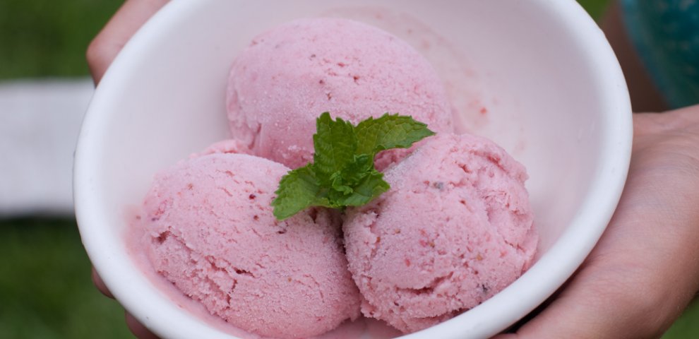 Strawberry coconut milk ice cream recipe