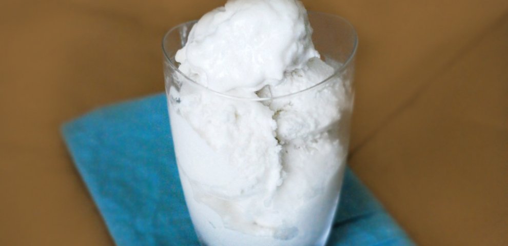 Sugar free coconut milk ice cream recipe