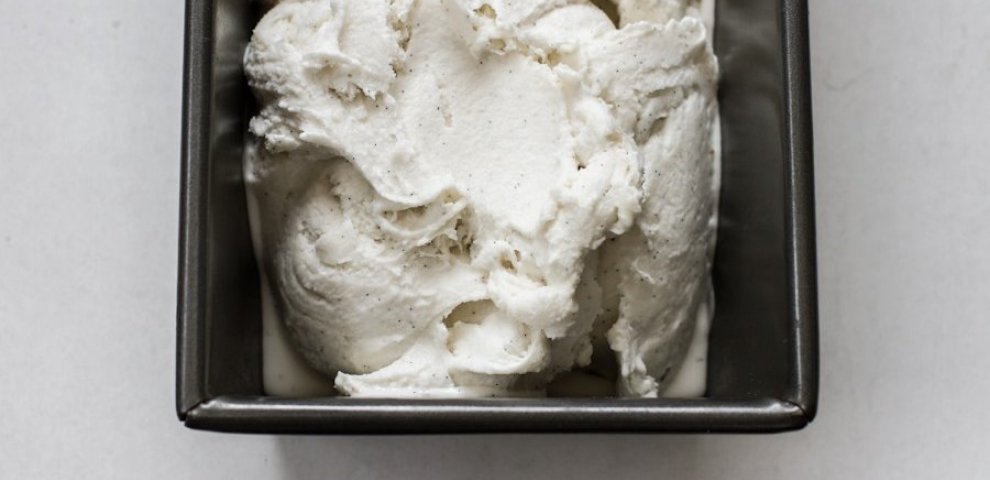 Vegan coconut milk ice cream recipe