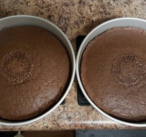 Chocolate cake recipe no milk