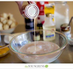 Condensed milk Pudding Recipes Easy