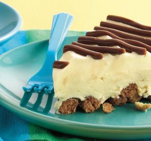 Fudge recipes using condensed milk