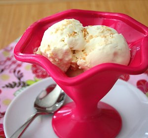 Recipe for coconut milk ice cream