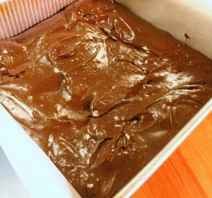 Soft Fudge recipe condensed milk