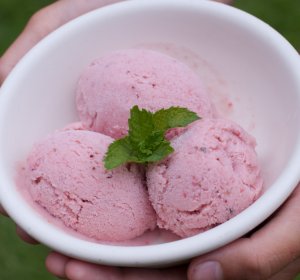 Strawberry coconut milk ice cream recipe