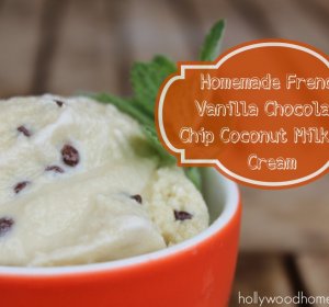 Vanilla coconut milk ice cream recipe