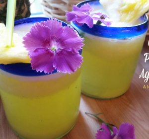 Virgin Pina Colada recipe coconut milk