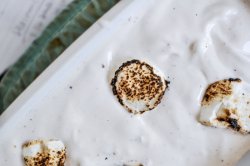 Toasted Marshmallow Coconut Milk Ice Cream I howsweeteats.com