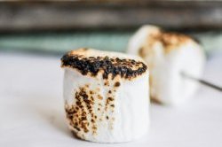 Toasted Marshmallow Coconut Milk Ice Cream I howsweeteats.com