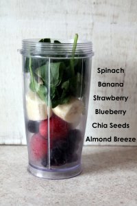 Wild Blueberry Banana Spinach Power Smoothie